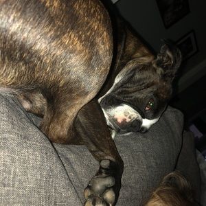 Meet your Posher, Michelle